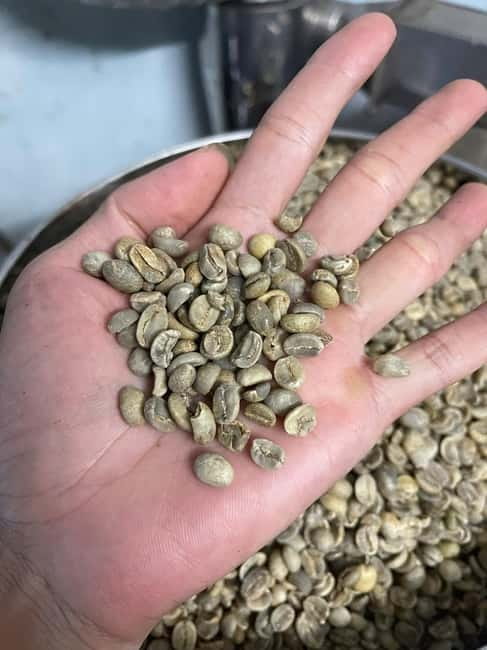 Hoi An:Coffee Making Class (Coffee: egg, Salt, Coconut, ...) - Key points to know before booking