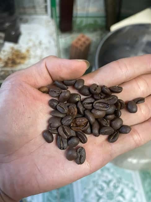 Hoi An:Coffee Making Class (Coffee: egg, Salt, Coconut, ...) - Why Hoi An coffee deserves an hour of your trip