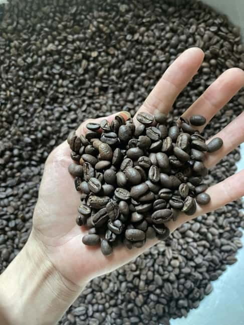 Hoi An:Coffee Making Class (Coffee: egg, Salt, Coconut, ...) - Learning how coffee moves from crop to cup