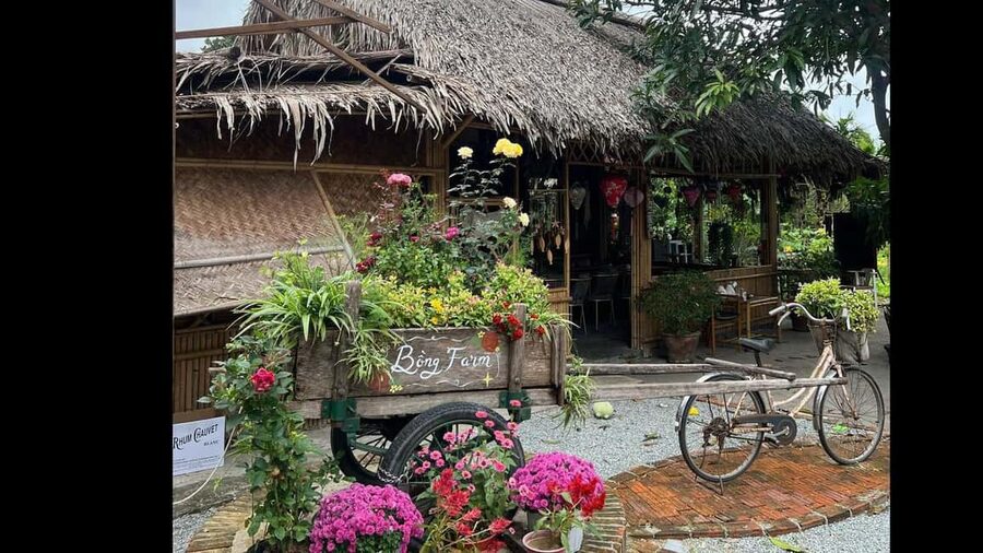 Hoi An Cooking Class - Traditional Chinese Dumpling - Who should book this class?