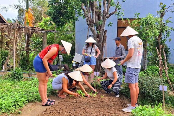 Hoi An Cooking Class & Vespa Cooking Adventure Tour - What this tour does better than a standard cooking class