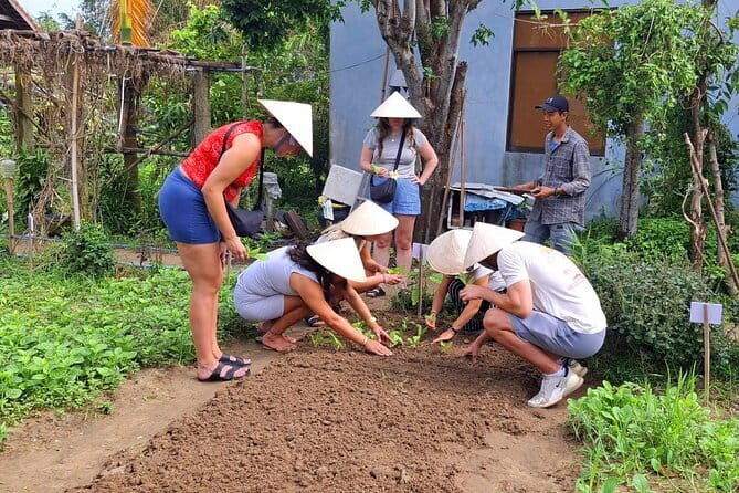 Hoi An Cooking Class & Vespa Cooking Adventure Tour - Tra Que Vegetable Village and the value of picking herbs