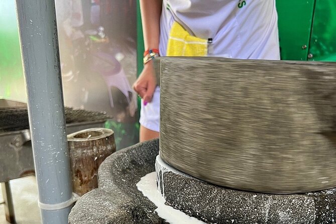 Hoi An cooking class with Basket Boat Tour - The guides shape the experience