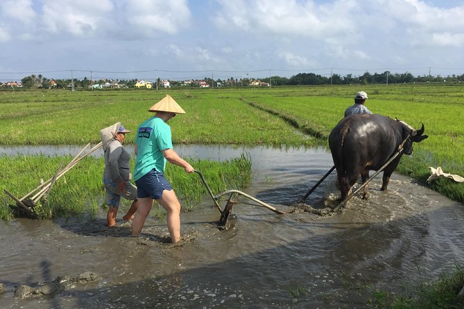 Hoi An Countrylife Tour Experience & Vietnamese Set Menu - Three Country Traditions in One Hoi An Afternoon