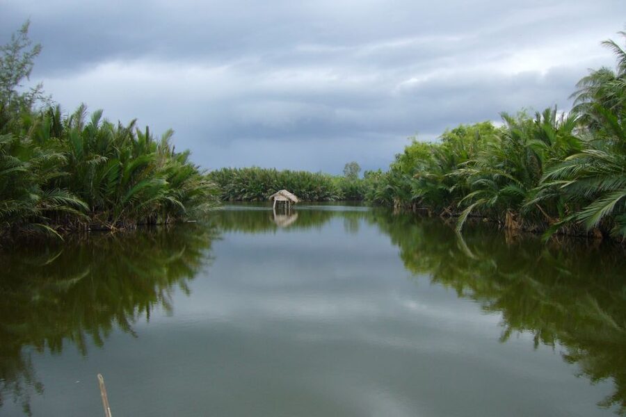Hoi An Countryside Bicycle Tour : 25 Km Real Vietnam - Bamboo bridges, ferries, and a floating crossing
