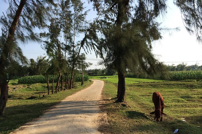 Hoi An Countryside bike tour to Kim Bong village - Is $32 a fair price?