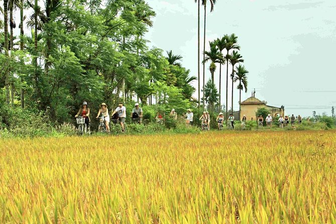 Hoi An: Countryside bike tour to Kim Bong village - Cycling from Hoi An toward village life