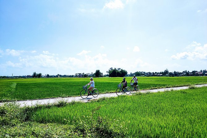 Hoi An Countryside Biking Tour(Vegetable village -basket boat - fishing village) - The water coconut forest and round basket boats