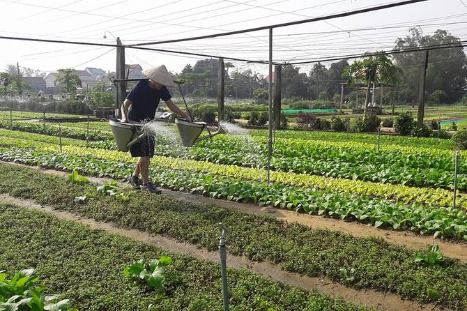 Hoi An Countryside Biking Tour(Vegetable village -basket boat - fishing village) - Who should book this Hoi An countryside tour?