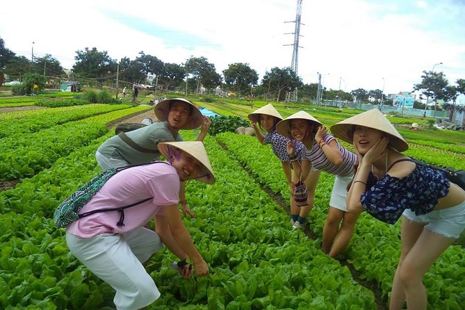 Hoi An Countryside - Buffalo Riding - Basket Boat Rowing - Cycling out to Tra Que Vegetable Village