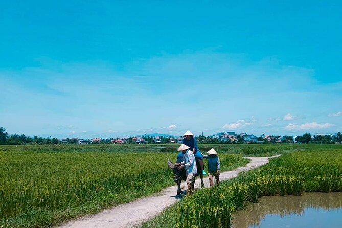 Hoi An Countryside - Buffalo Riding - Basket Boat Rowing - Who should book this outing