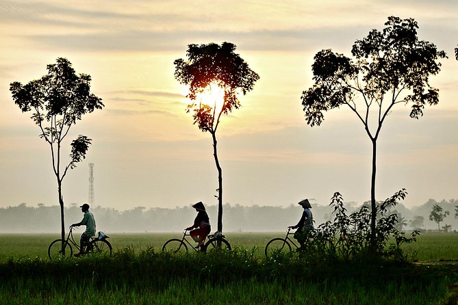 Hoi An Countryside By Bike - Is it good for families and less experienced cyclists?