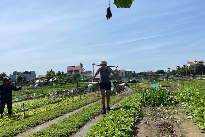 Hoi An countryside cycling Tour,Basket Boat-organic farming-lunch - Feeding a water buffalo