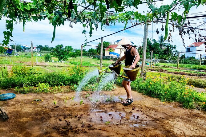 Hoi An countryside cycling tour - Rice fields, shrimp farms, and farm animals