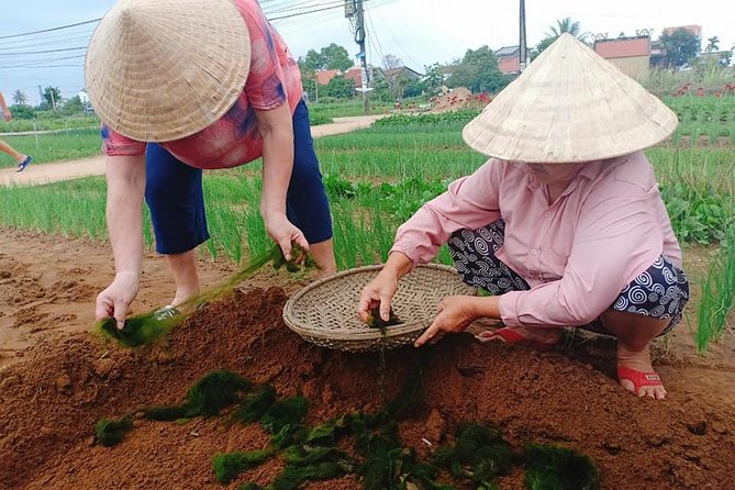 Hoi An Countryside Tour with Bamboo Basket Boat Rowing , Buffalo Ride, Farming - What the $76.42 price covers