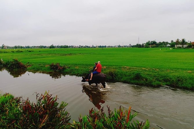 Hoi An Countryside Tour with Bamboo Basket Boat Rowing , Buffalo Ride, Farming - Shaping clay at Thanh Ha Pottery Village