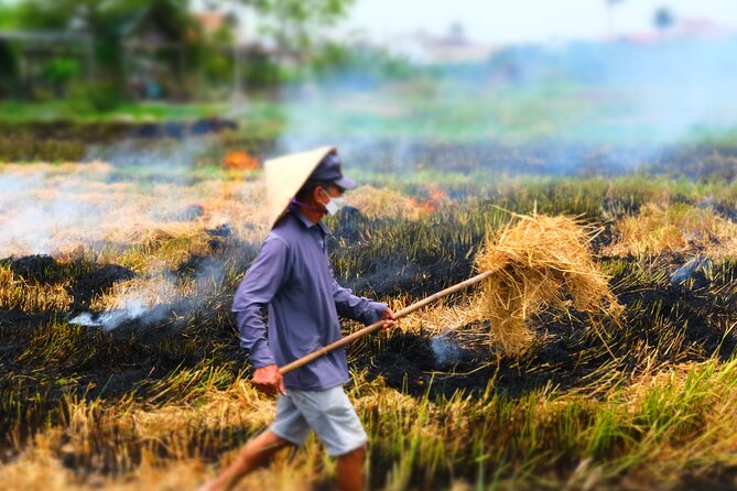 Hoi An Countryside Vespa Tour: Food, Culture & Daily Life - Local food is more than a lunch break