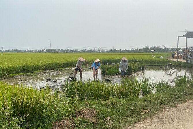 Hoi An Countryside Vespa Tour: Food, Culture & Daily Life - What the guides add to the day