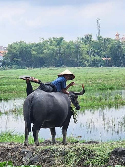 Hoi An: Countryside Villages and River Islands Private Tour - Key points to know before booking