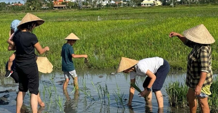 Hoi An:Cycling,Traditional Farming & Fishing Life Experience - Key points to know before booking