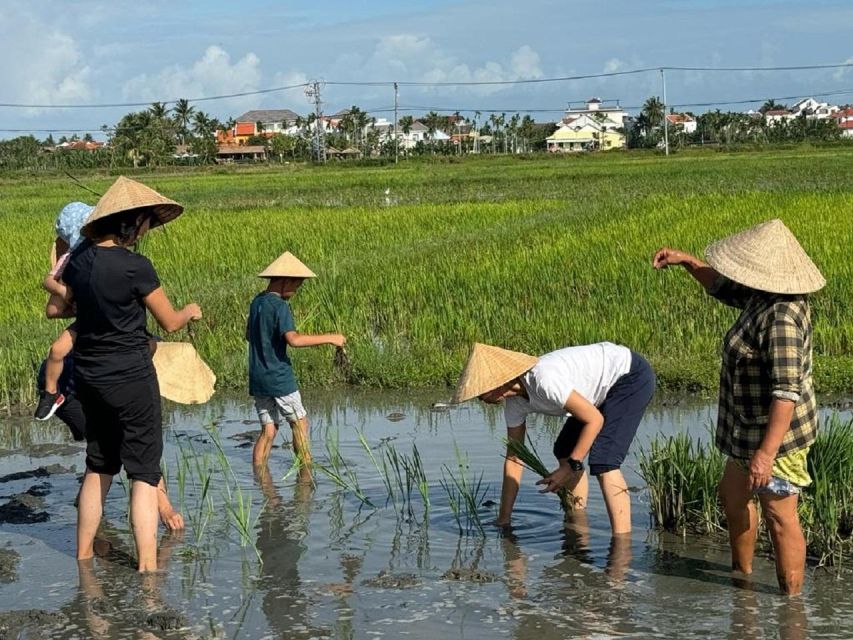 Hoi An:Cycling,Traditional Farming & Fishing Life Experience - From Hoi An to Cam Thanh by bicycle