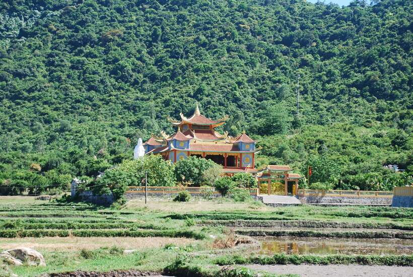 Hoi An/ Da Nang: Cham Island Discovery Tour - Key points to know before booking