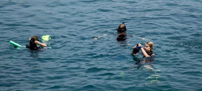 Hoi An/ Da Nang: Cham Island Discovery Tour - What the schedule feels like in practice