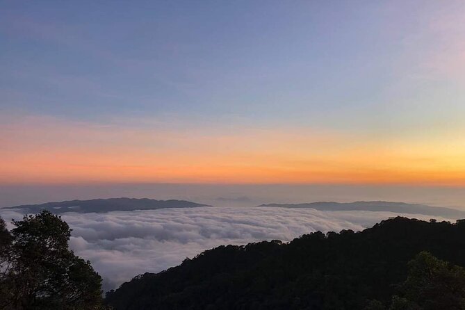 Hoi An/Da Nang guided tour to BANA HILLS with Cham Cham Travel - French Village and buffet dinner