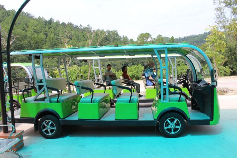 Hoi An/Da Nang: My Son Afternoon tour: Banh my and Cruise - A practical afternoon schedule from Da Nang