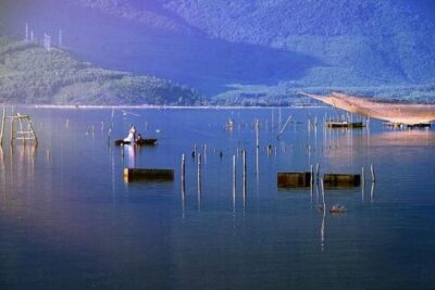 Danang – Hue: Private Car via Hai Van Pass and More