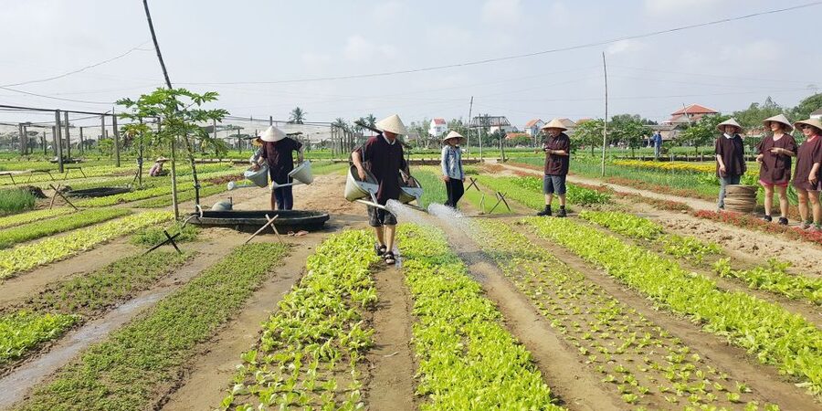 Hoi An: Evening Cooking Class with Locals in Herbs Village - Four Hoi An dishes at your own station