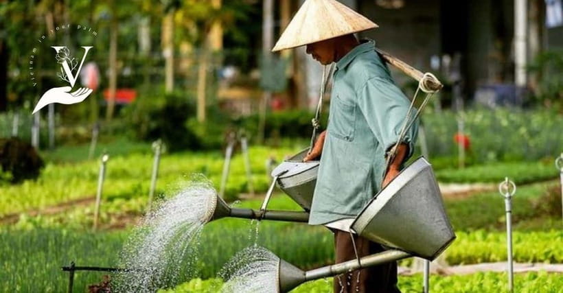 Hoi An Food Tour - Street Eats And Hoi An Hidden Gems - The Unusual Bite and the Strange Dessert