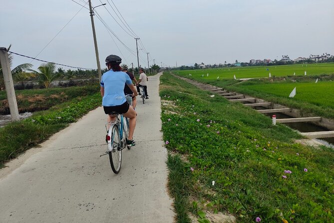 Hoi An Half-Day Bicycle Tour: Visit Herb Village, Row Basket Boat - Key points to know before booking