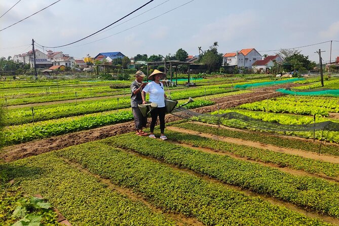 Hoi An Half-Day Bicycle Tour: Visit Herb Village, Row Basket Boat - Cycling to Tra Que and working in the herb gardens