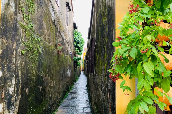 Hoi An: Half-day Hoi An Heritage Walk - The Japanese Covered Bridge