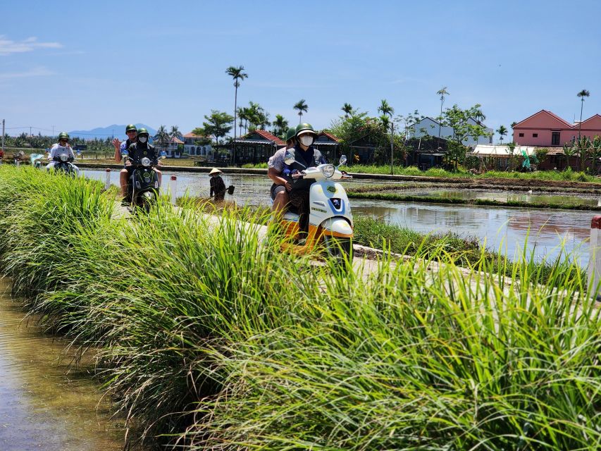 Hoi An Highlights and Hidden Gems Tour by Vespa - Who will enjoy this Hoi An Vespa experience