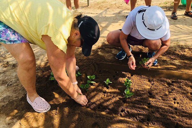Hoi An Local Market and Vegetable Village Cooking Class - Why this Hoi An food tour works so well