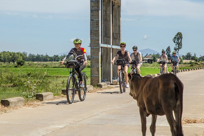 Hoi An: Morning Countryside Tour by Bike - Five things that make this Hoi An bike tour worthwhile