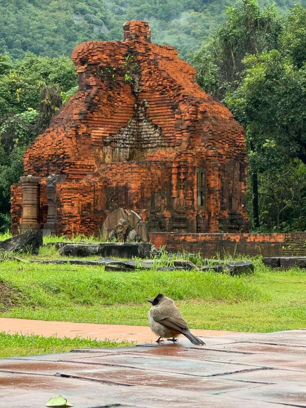 Hoi An: My Son Sanctuary Private Tour with Local Guide - Why My Son Is Worth Four Hours From Hoi An