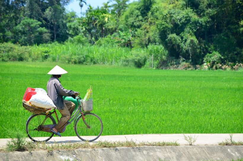 Hoi An: Private Cycling to My Son Sanctuary with Local Guide - A break for fruit, coffee, and local tastes