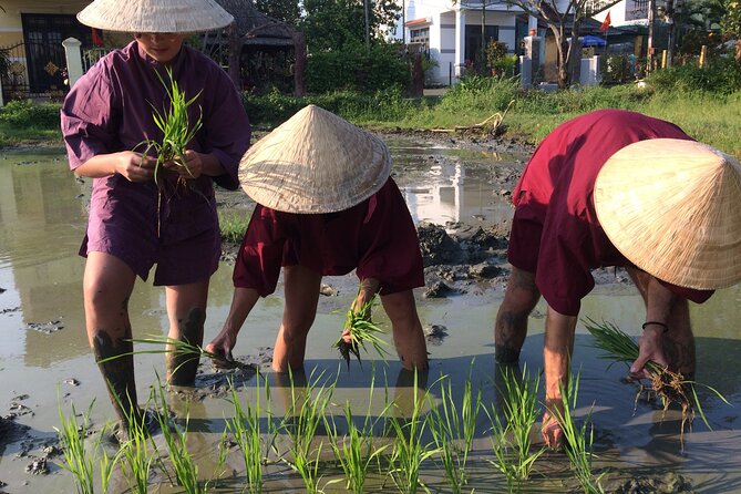 Hoi An Rice Farm Tour and Buffalo Riding with Local Home Meal - The Water Buffalo Ride