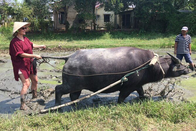Hoi An Rice Farm Tour and Buffalo Riding with Local Home Meal - Timing, Comfort, and Practical Details