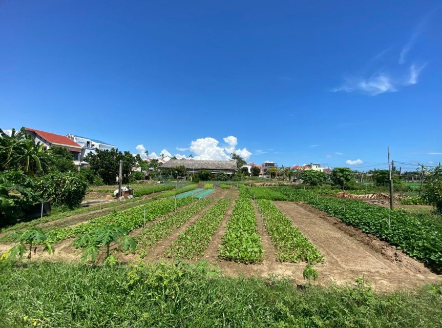 Hoi An: Rural Cycling Tour to Village with Basket Boat Ride - A market visit that adds everyday detail