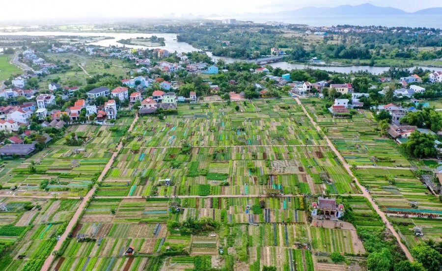 Hoi An: Rural Cycling Tour to Village with Basket Boat Ride - What the three-hour schedule feels like