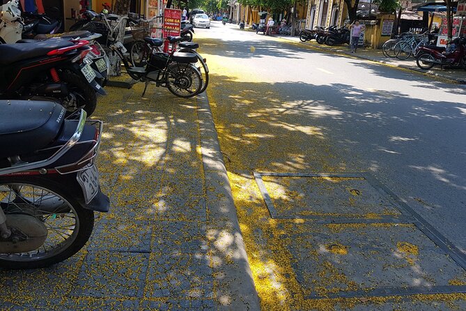 Hoi An town private walking tour with boat trip - The Folklore Museum: objects, costumes, and context