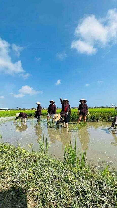 Hoi An Wet Rice Farming Tour-Basket Boat Tour Fishing-Lunch - What this Hoi An farm outing is really about
