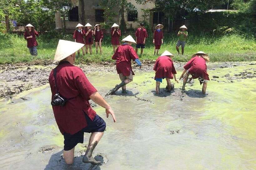 Hoi An Wet Rice Farming Tour-Basket Boat Tour Fishing-Lunch - Searching for fish beneath the baby rice