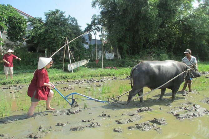 Hoi An Wet Rice Farming Tour Private Round Boat Fishing & Lunch - Fishing Through Bay Mau Coconut Forest