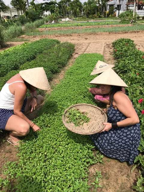 Hoian/Da Nang: Fishing, basket riding and cooking class - Timing, Pickup, and Cancellation Details