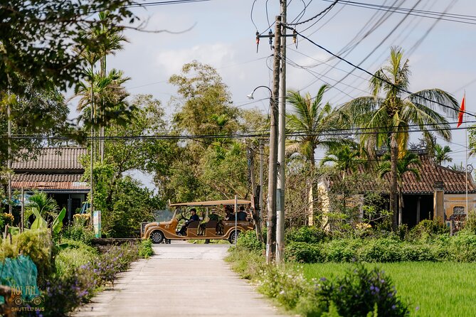 HoiAnGO Experience Local Life: Countryside by Electric Car - Rice fields and traditional cultivation